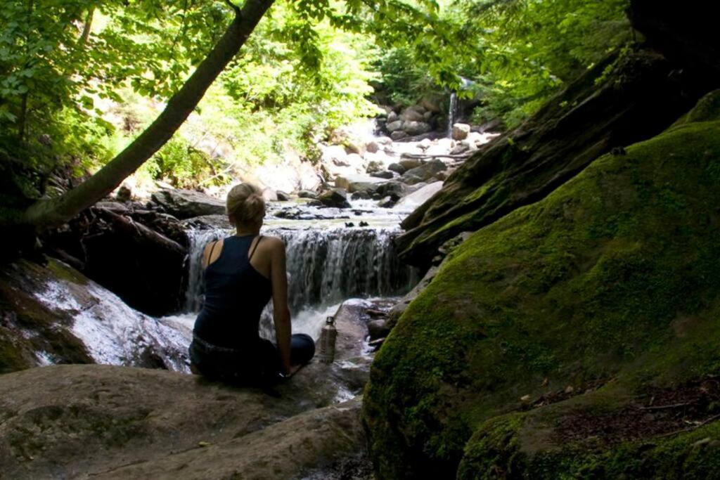 Cabin Sutton 252 - En Harmonie Avec La Nature! Villa Dış mekan fotoğraf